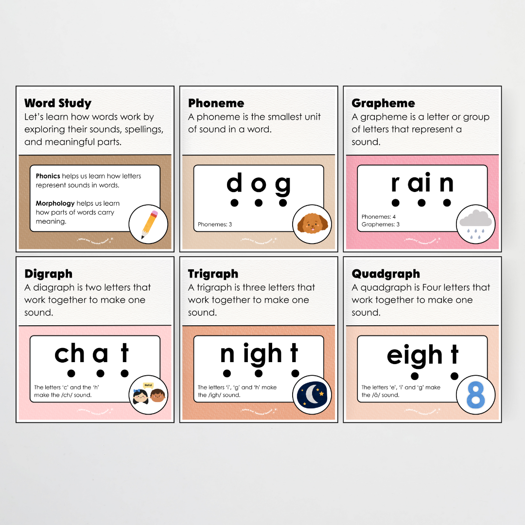 Word Study Phonics and Morphology Display - Farmers Market Classroom Decor - Teacher Resources & Classroom Decor