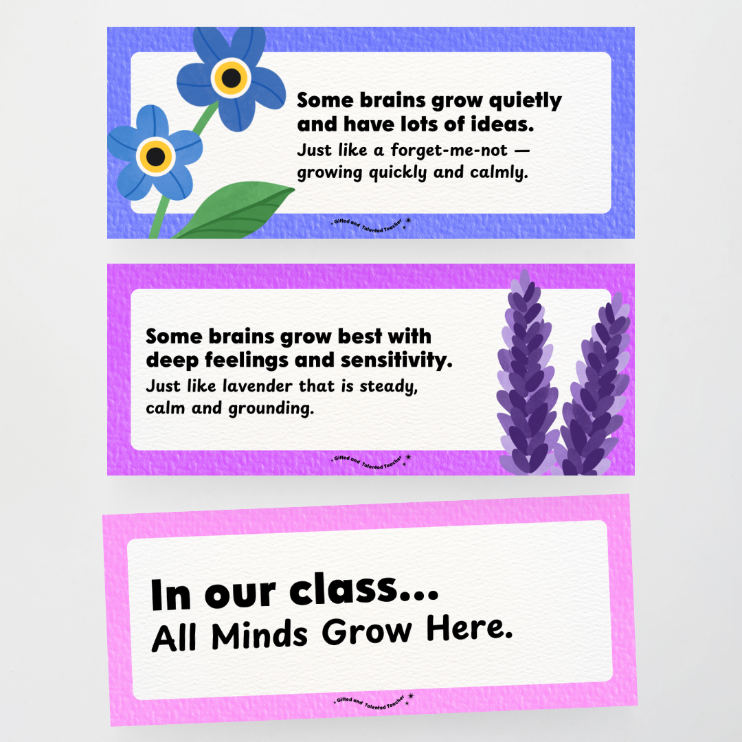 Our Neurodiverse Classroom - Neurodiversity Wall Display - Teacher Resources & Classroom Decor