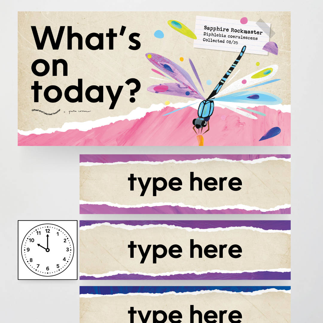 x Pete Cromer - Insect Life Classroom Decor (Upper Grades) Bundle - Teacher Resources & Classroom Decor