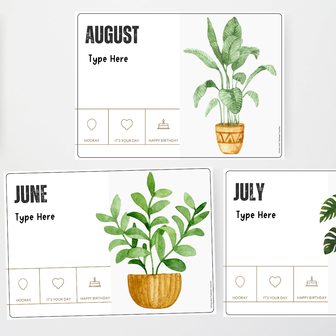 Birthday Display - Boho Botanical Classroom Decor - Teacher Resources & Classroom Decor