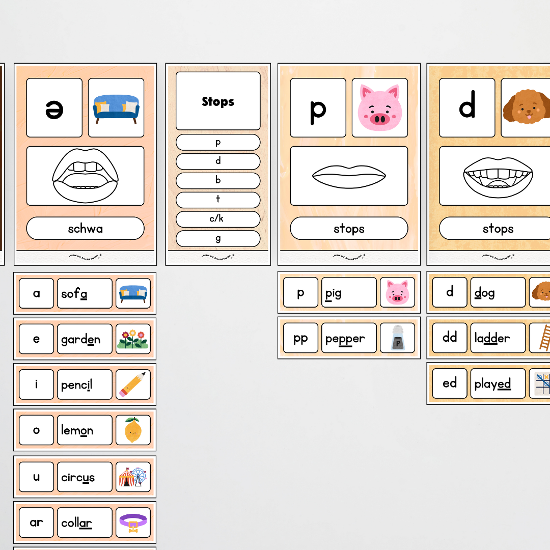 Sound Wall with Mouth Articulation - Neutral Classroom Decor