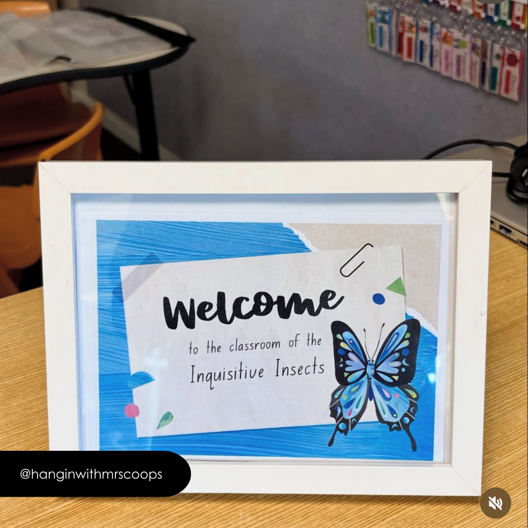 Pete Cromer: A4 Labels - Insect Life Classroom Decor - Teacher Resources & Classroom Decor