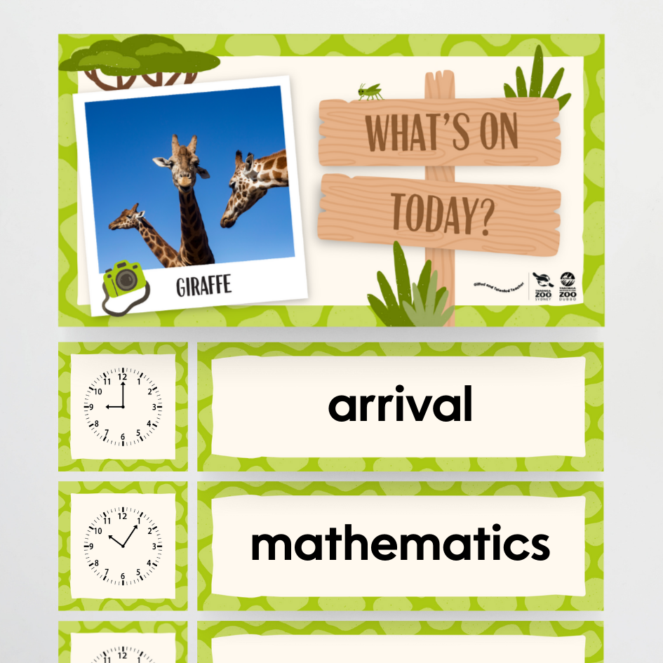 Taronga Zoo: Daily Schedule - Taronga Zoo Classroom Decor - Teacher Resources & Classroom Decor