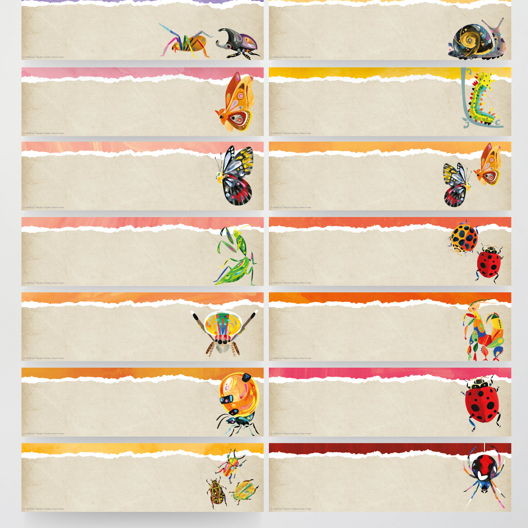 Pete Cromer: Tote Tray Labels - Insect Life Classroom Decor