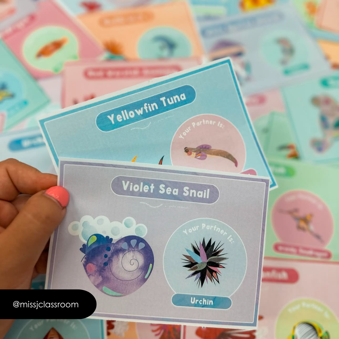 Pete Cromer: Partner Match - Sea Life Classroom Decor - Teacher Resources & Classroom Decor