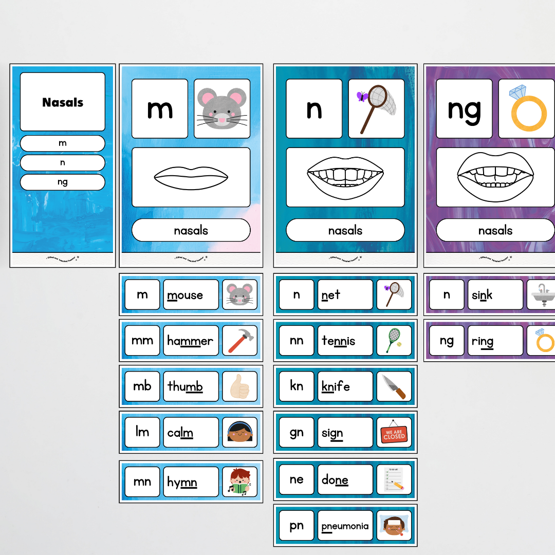 Sound Wall with Mouth Articulation - Australian Fauna and Flora Classroom Decor