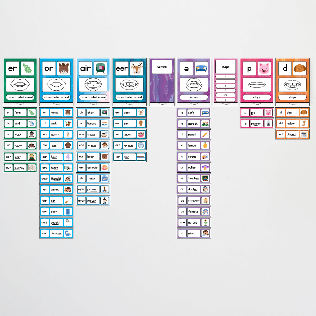 Sound Wall with Mouth Articulation - Australian Fauna and Flora Classroom Decor