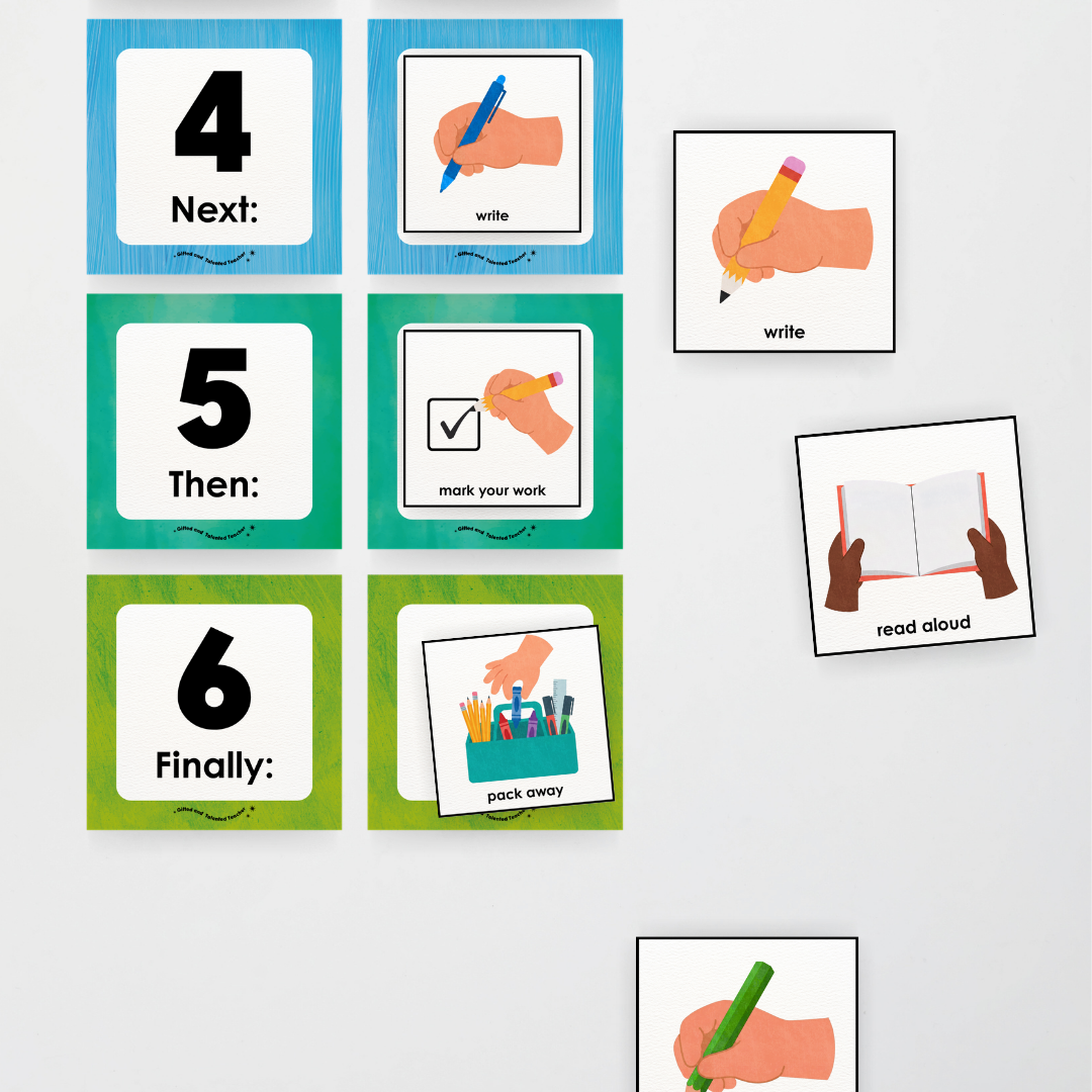 First Next Then Instructional Icons Classroom Display - Insect Life Classroom Decor