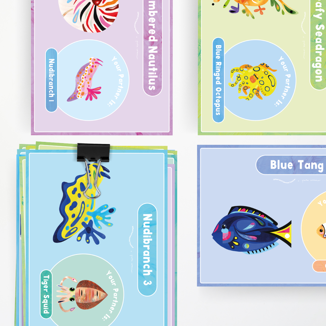 Pete Cromer: Partner Match - Sea Life Classroom Decor - Teacher Resources & Classroom Decor