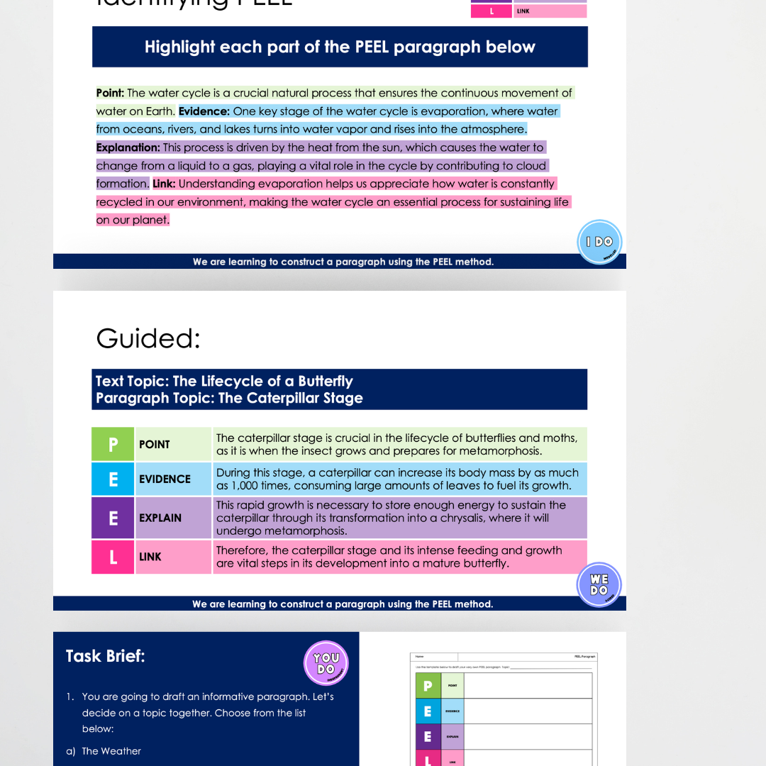 PEEL Paragraph Structure Bundle | Informative Purposes - Teacher Resources & Classroom Decor