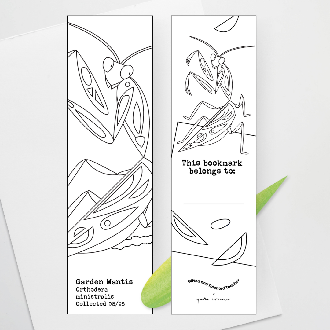 Pete Cromer: Line Art Bookmarks - Insect Life Classroom Decor - Teacher Resources & Classroom Decor