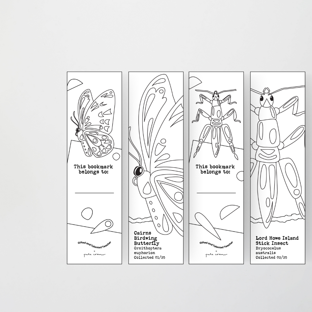 Pete Cromer: Line Art Bookmarks - Insect Life Classroom Decor - Teacher Resources & Classroom Decor