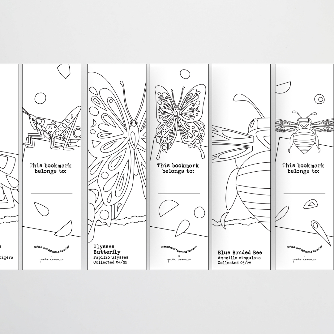 Pete Cromer: Line Art Bookmarks - Insect Life Classroom Decor - Teacher Resources & Classroom Decor