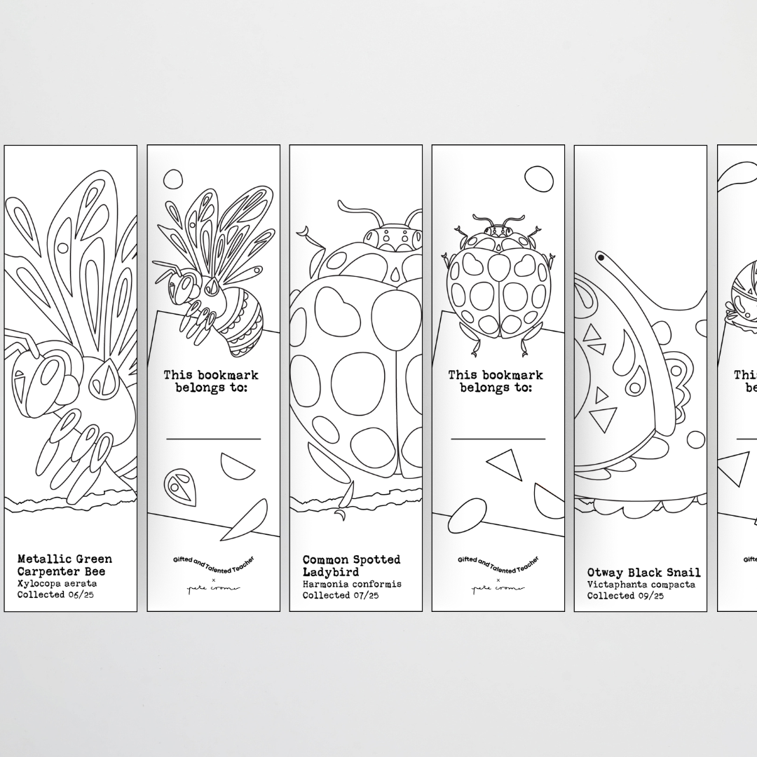 Pete Cromer: Line Art Bookmarks - Insect Life Classroom Decor - Teacher Resources & Classroom Decor