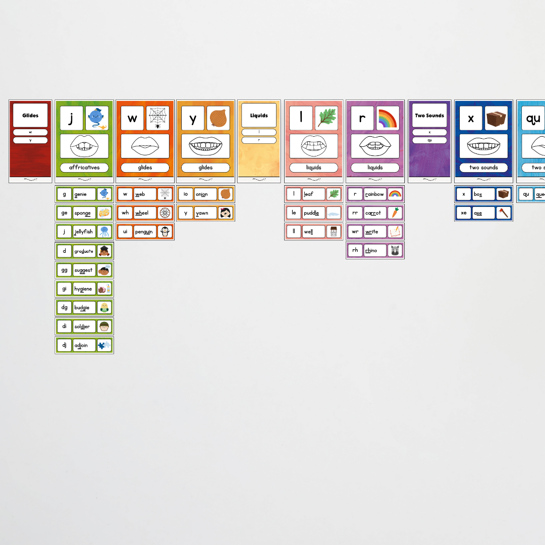 Sound Wall with Mouth Articulation - Insect Life Classroom Decor