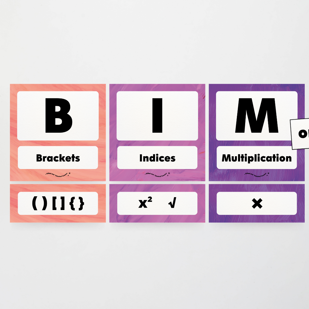 BIMDAS Order of Operations - Insect Life Classroom Decor - Teacher Resources & Classroom Decor