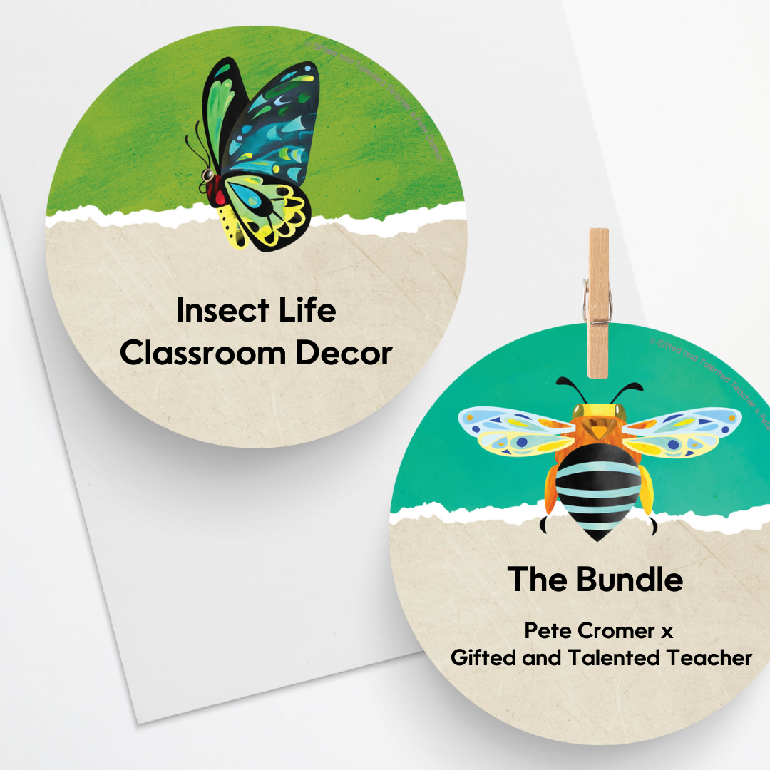 x Pete Cromer - Insect Life Classroom Decor Bundle - Teacher Resources & Classroom Decor