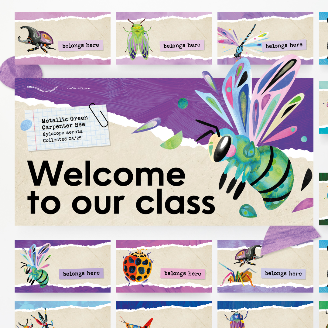 x Pete Cromer - Insect Life Classroom Decor Bundle - Teacher Resources & Classroom Decor