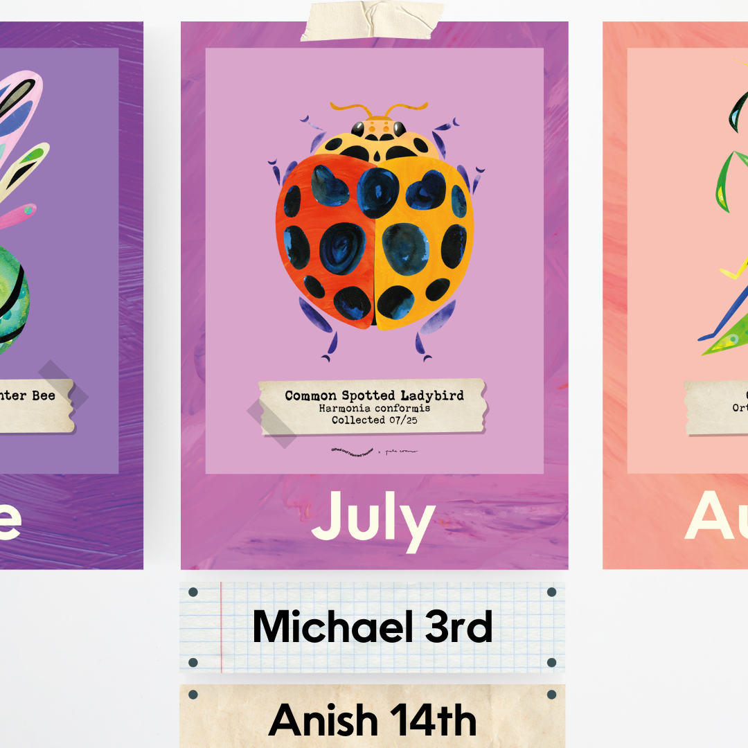 x Pete Cromer - Insect Life Classroom Decor Bundle - Teacher Resources & Classroom Decor