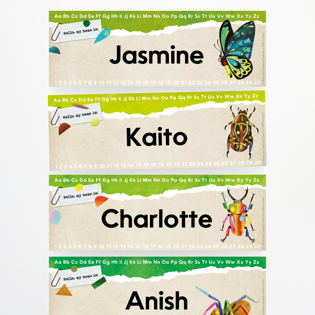 x Pete Cromer - Insect Life Classroom Decor Bundle - Teacher Resources & Classroom Decor