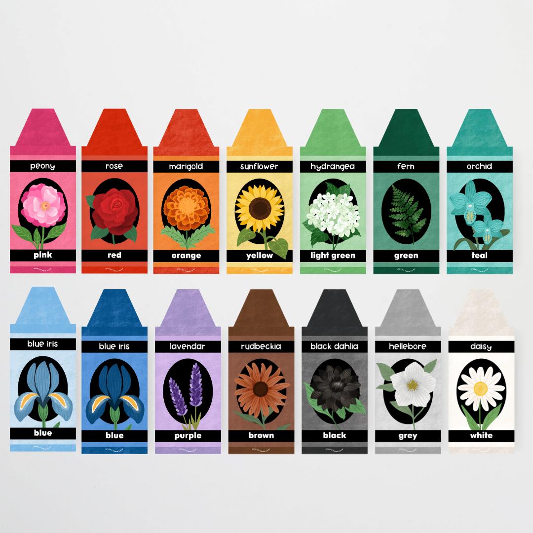 Crayon Colour/Color Posters - Leafy Greens Classroom Decor