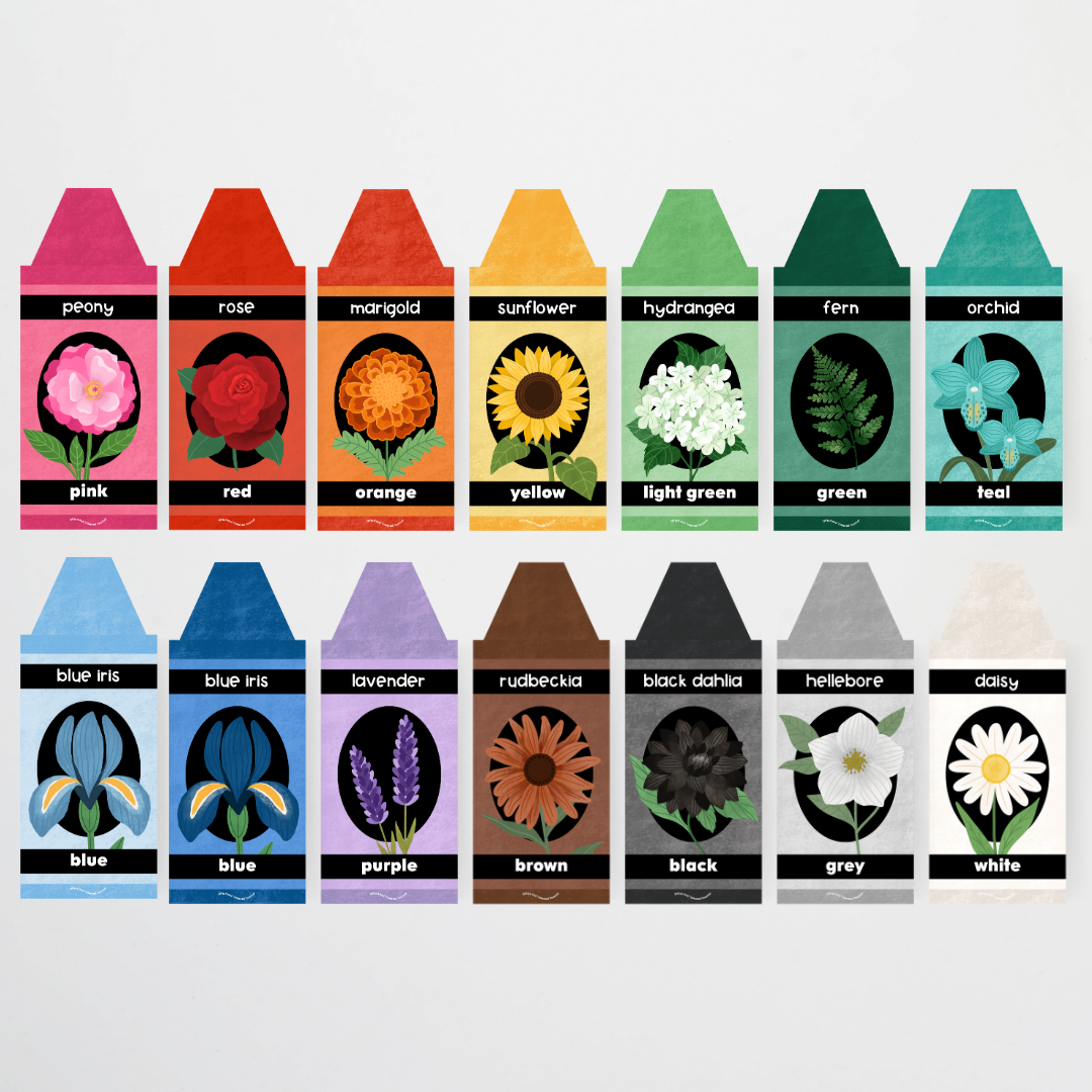 Crayon Colour/Color Posters - Leafy Greens Classroom Decor