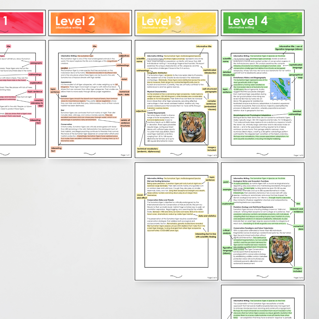 Year 5 and Year 6 - Informative Text: Level Up, Bump it Up, WAGOLL Wall Display and Activity - Teacher Resources & Classroom Decor