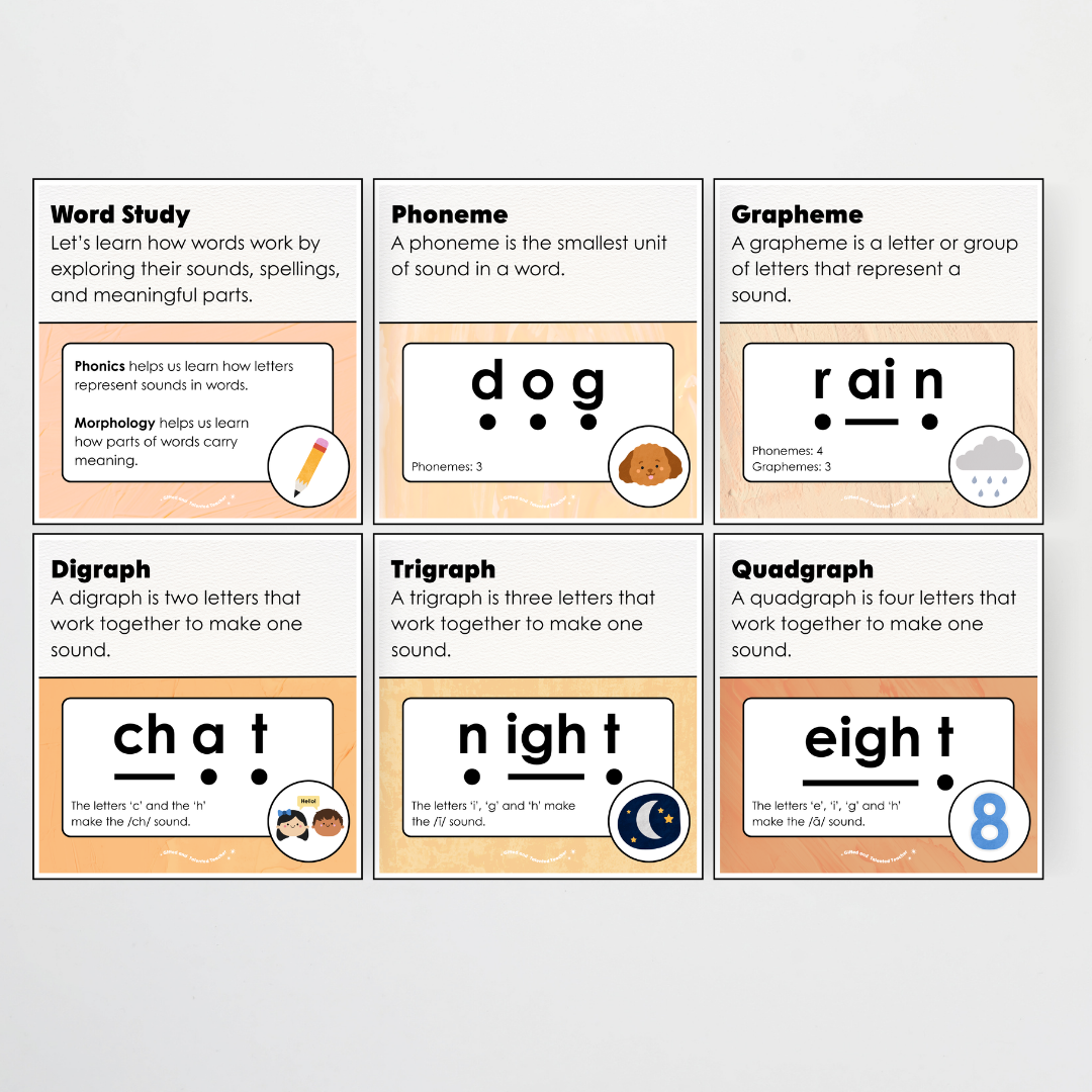 Word Study Phonics and Morphology Display - Neutral Classroom Decor - Teacher Resources & Classroom Decor