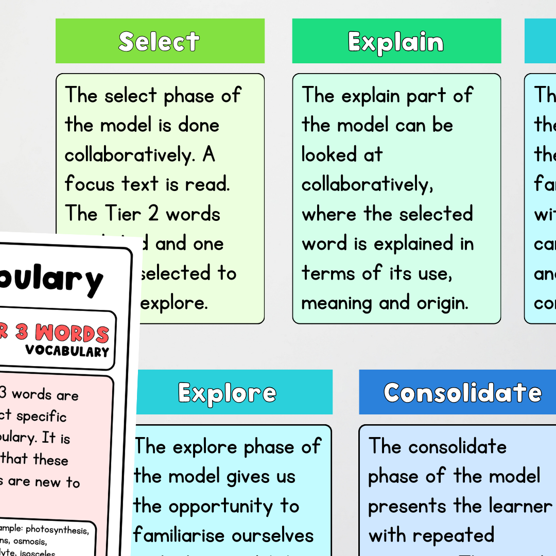 SEEC Model Posters | Vocabulary - Teacher Resources & Classroom Decor