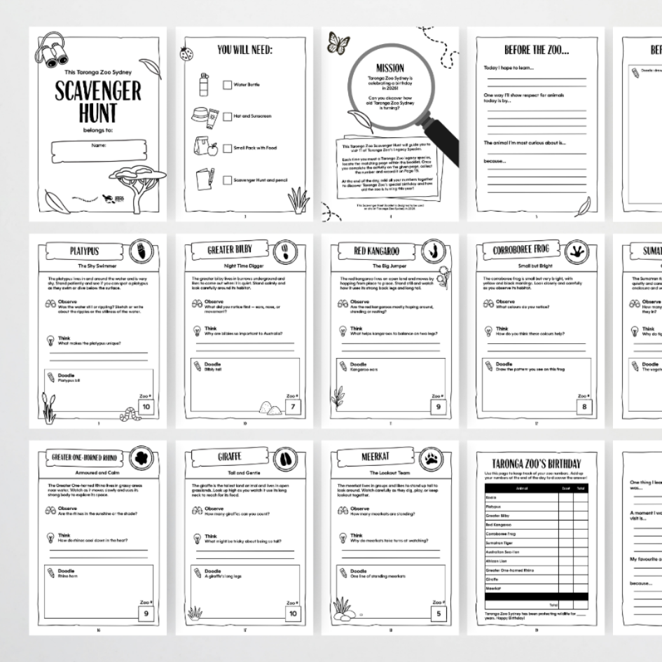 Taronga Zoo: Scavenger Hunt - Taronga Zoo Classroom Decor - Teacher Resources & Classroom Decor