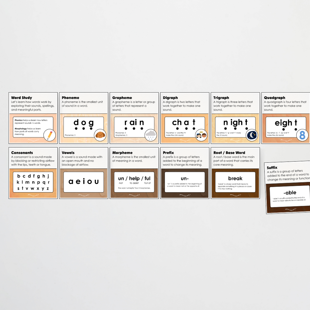 Word Study Phonics and Morphology Display - Neutral Classroom Decor