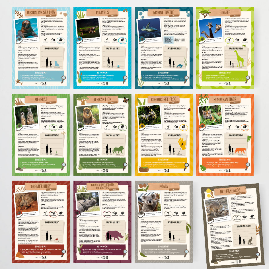 Taronga Zoo: Fact Files Lower Grades - Taronga Zoo Classroom Decor - Teacher Resources & Classroom Decor