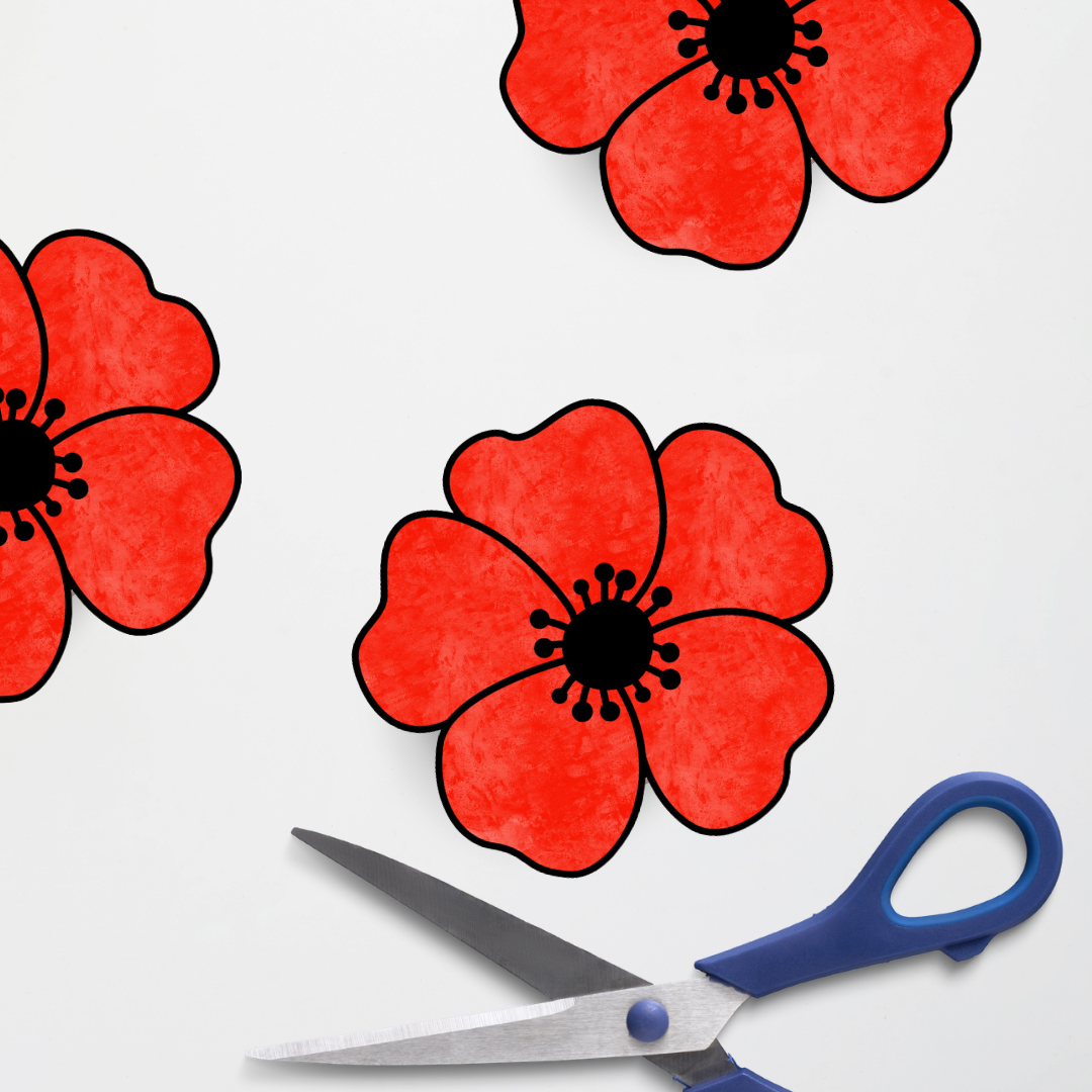 Anzac Day: Poppy Colouring In - Teacher Resources & Classroom Decor