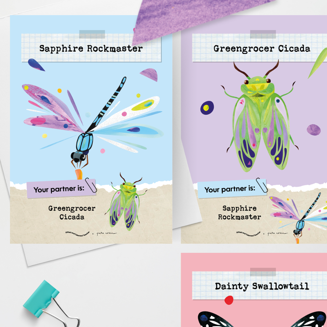 Pete Cromer: Partner Match - Insect Life Classroom Decor - Teacher Resources & Classroom Decor