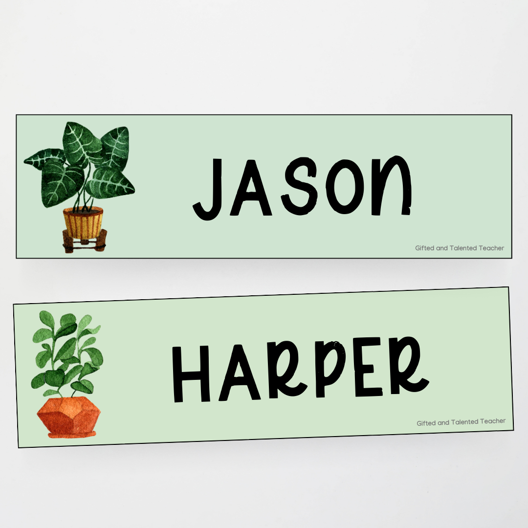 Large Tub Labels - Boho Botanical Classroom Decor - Teacher Resources & Classroom Decor