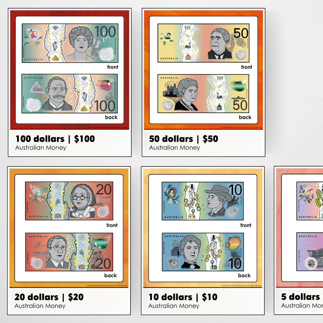 Australian Money Posters - Insect Life Classroom Decor