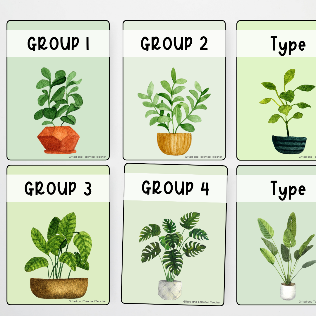 Magazine / Book Tub Labels - Boho Botanical Classroom Decor - Teacher Resources & Classroom Decor