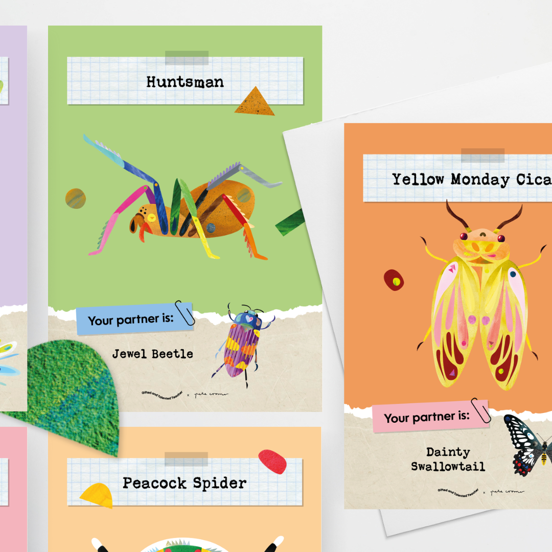 Pete Cromer: Partner Match - Insect Life Classroom Decor - Teacher Resources & Classroom Decor