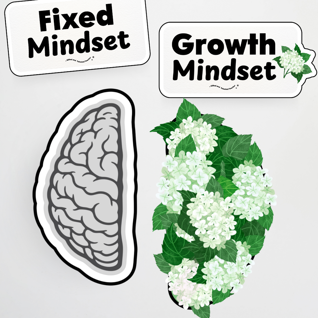 Growth Mindset Posters and Wall Display - Leafy Greens Classroom Decor - Teacher Resources & Classroom Decor