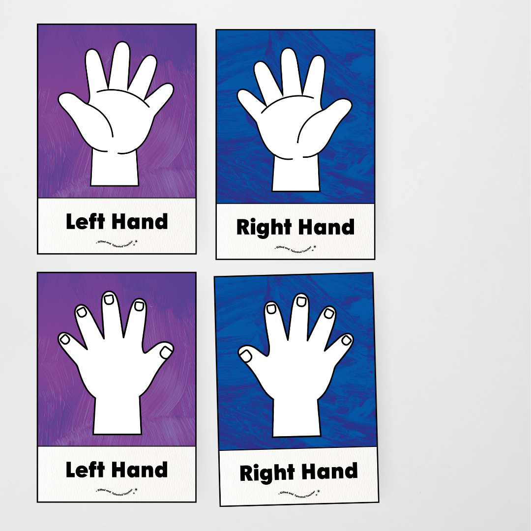 Left Hand and Right Hand Position Classroom Display - Insect Life Classroom Decor - Teacher Resources & Classroom Decor