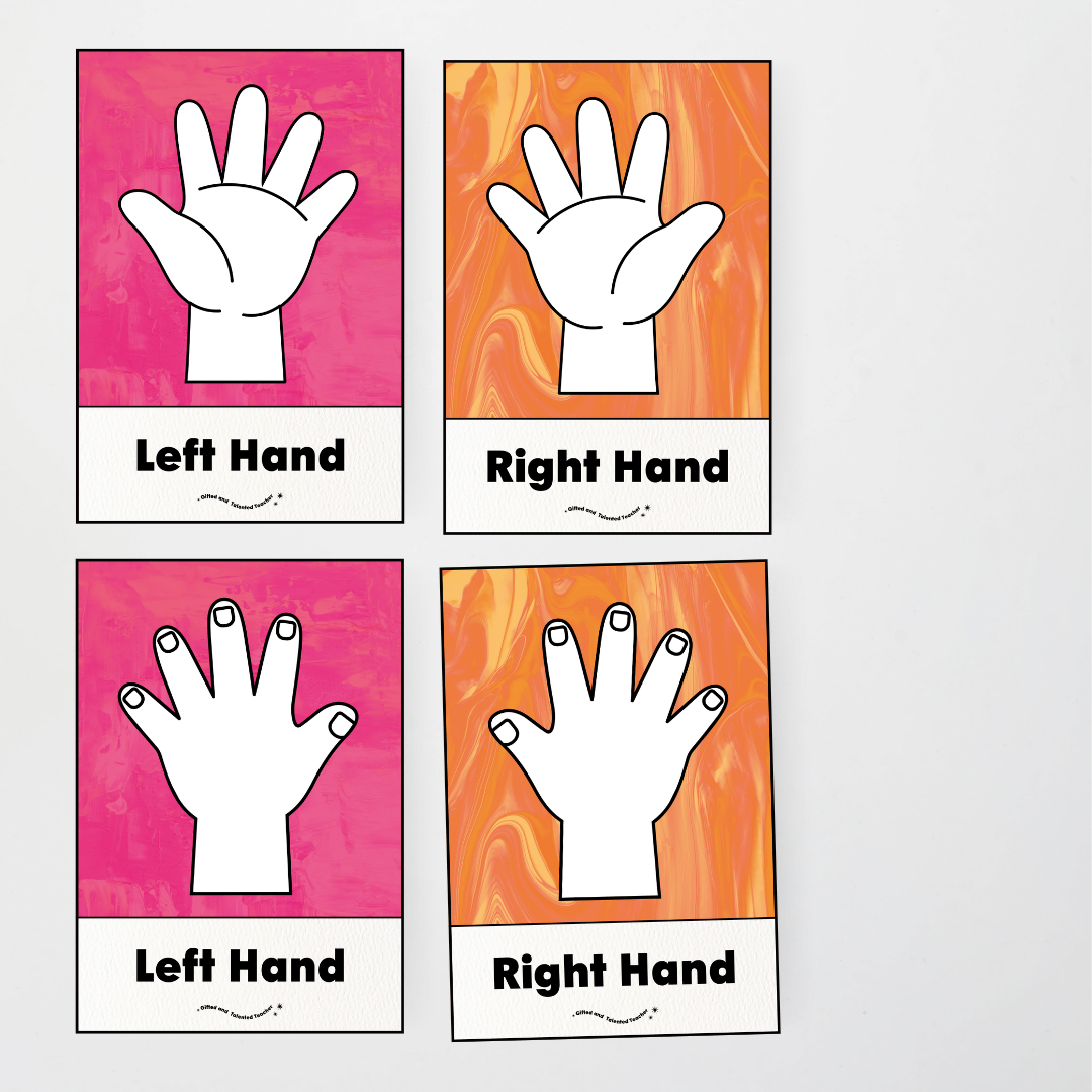 Left Hand and Right Hand Position Classroom Display - Australian Fauna and Flora Classroom Decor - Teacher Resources & Classroom Decor