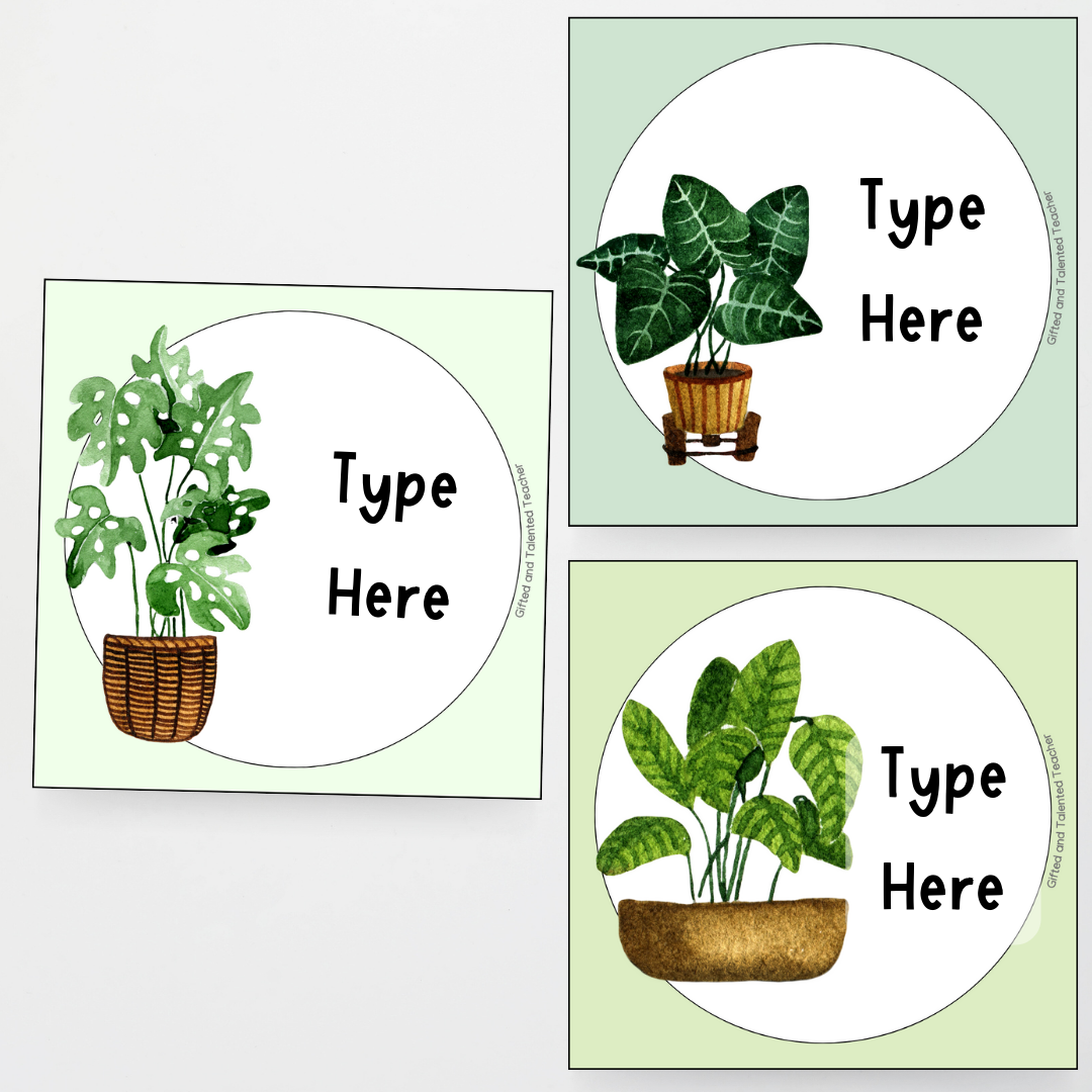 Square Labels - Boho Botanical Classroom Decor - Teacher Resources & Classroom Decor