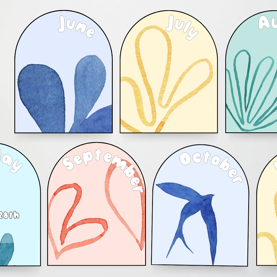 Matisse: Birthday Bumps - Color | Colour - Teacher Resources & Classroom Decor