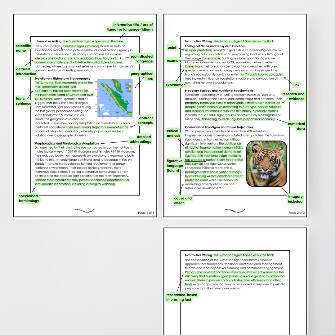Year 5 and Year 6 - Informative Text: Level Up, Bump it Up, WAGOLL Wall Display and Activity - Teacher Resources & Classroom Decor