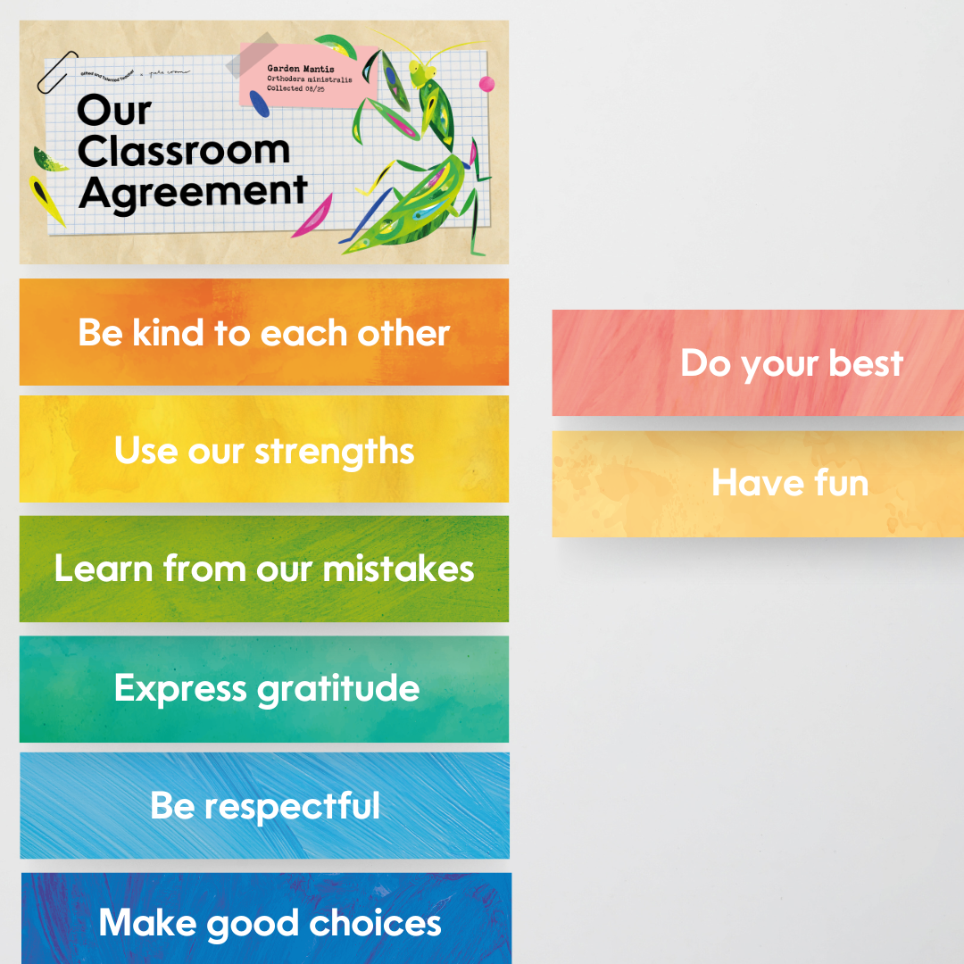 Pete Cromer: Classroom Agreement - Insect Life Classroom Decor
