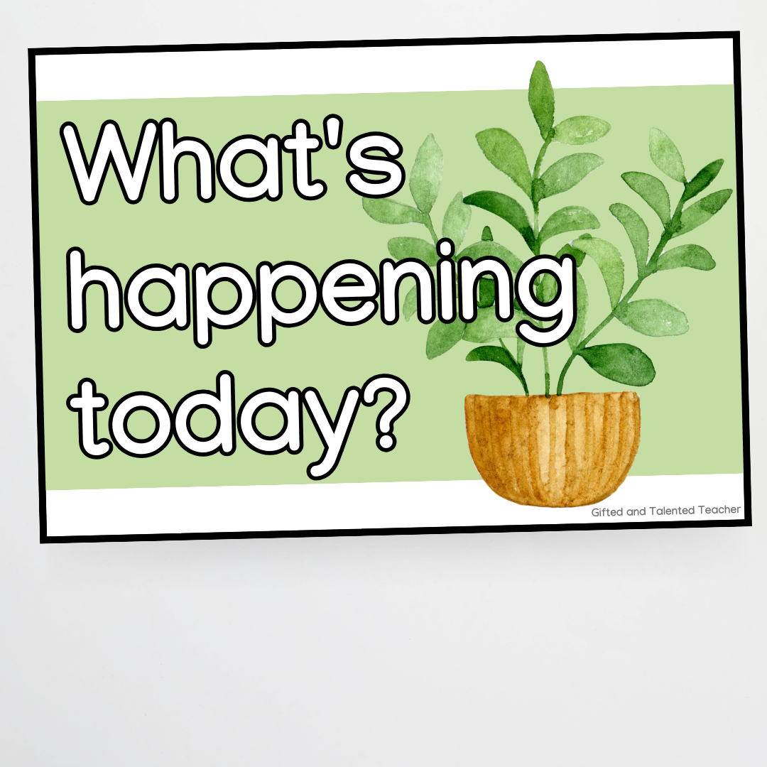 Daily Schedule - Boho Botanical Classroom Decor - Teacher Resources & Classroom Decor