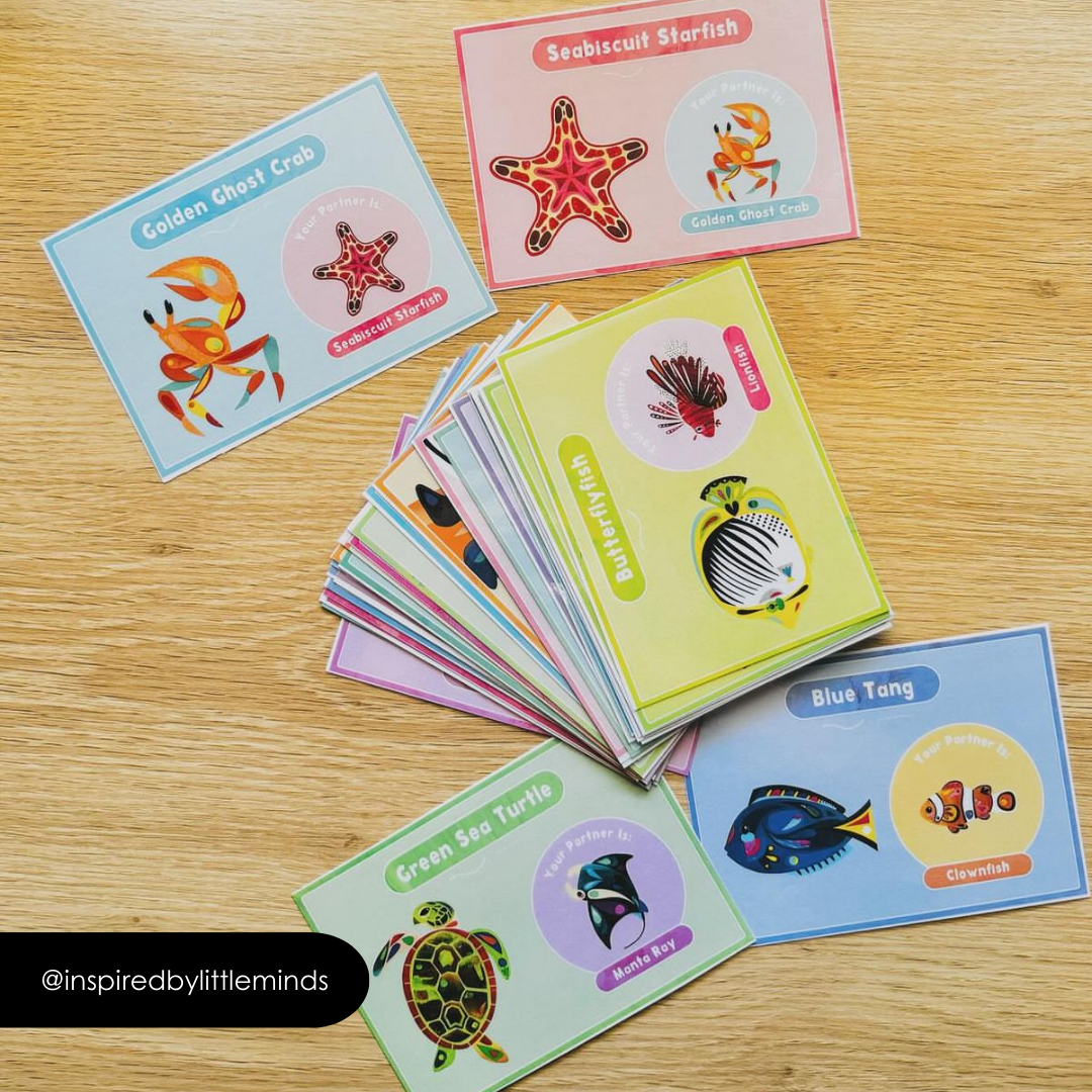 Pete Cromer: Partner Match - Sea Life Classroom Decor - Teacher Resources & Classroom Decor