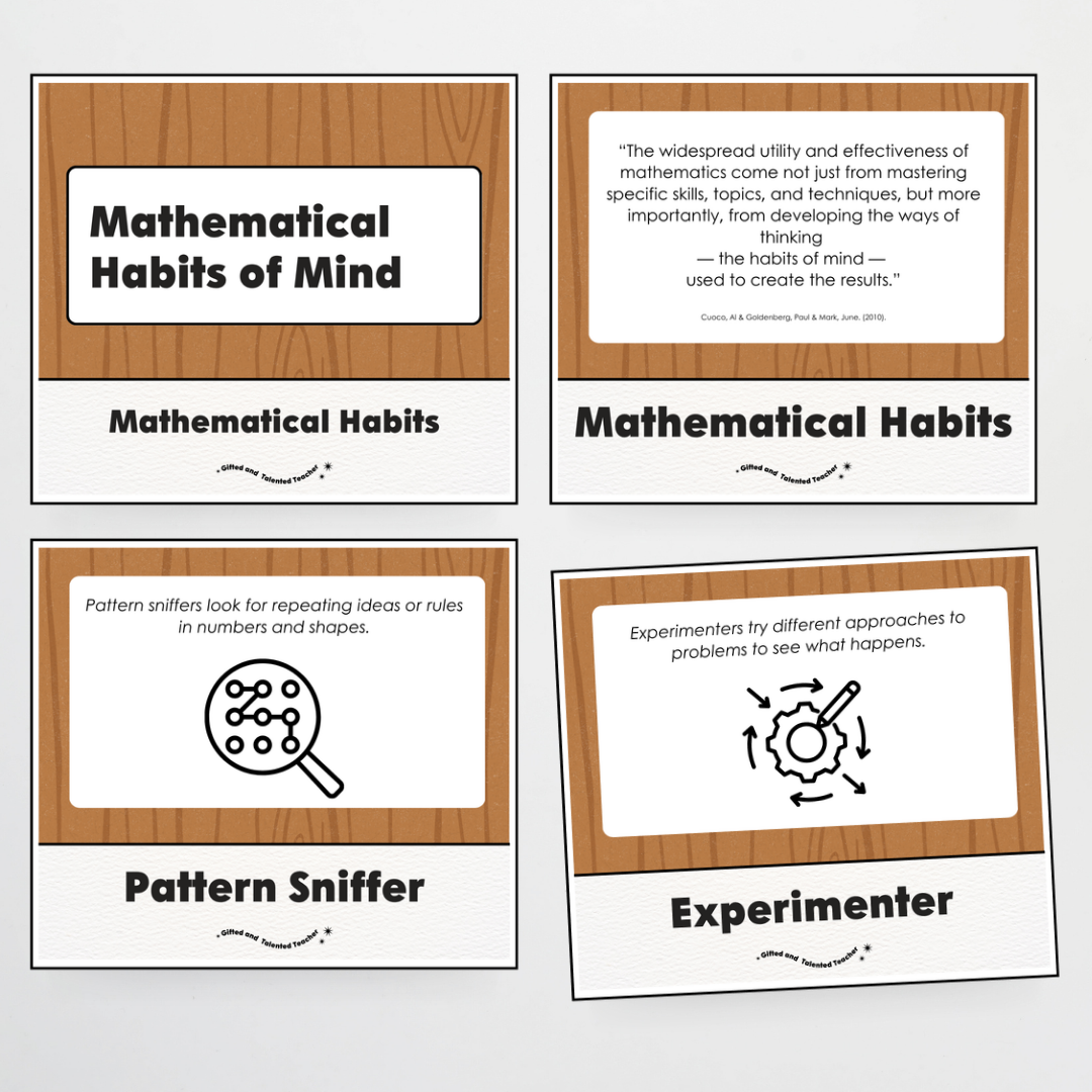 Mathematical Habits of Mind Wall Display: Back To School Classroom Decor