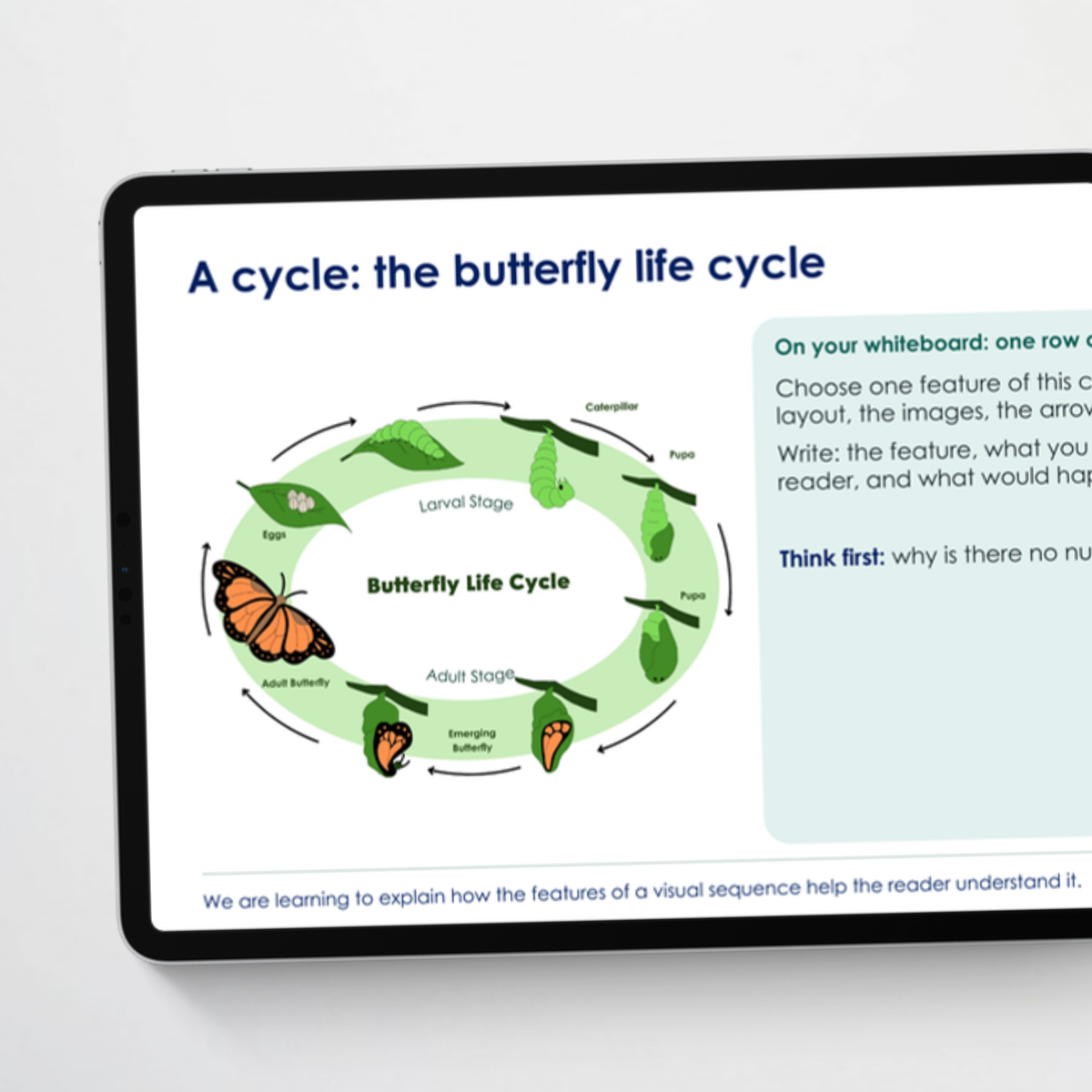 Teacher slides 2 – Visual Sequences
