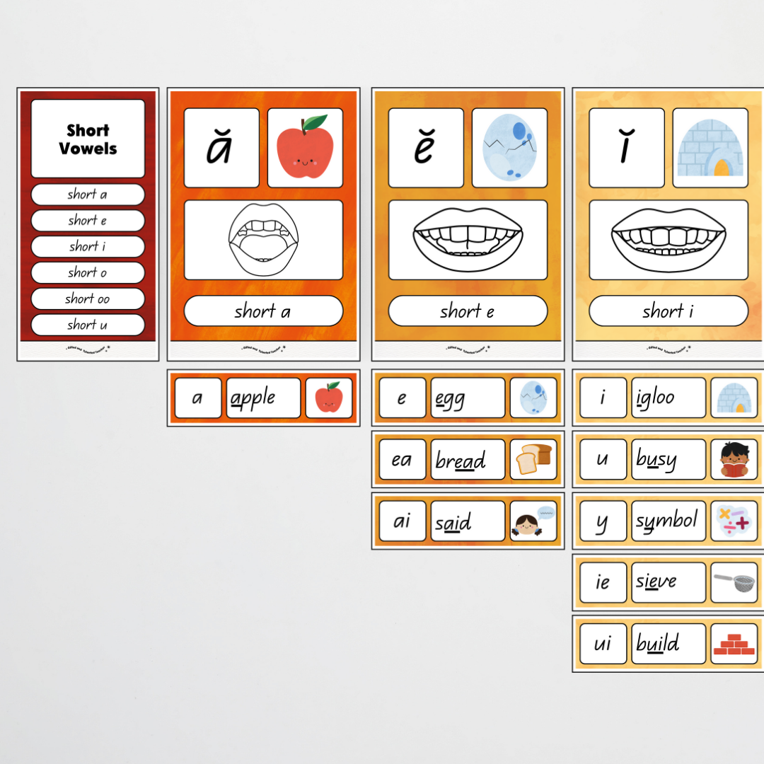 Sound Wall with Mouth Articulation - Insect Life Classroom Decor